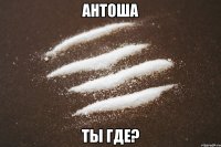 антоша ты где?