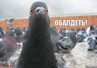 Обалдеть!