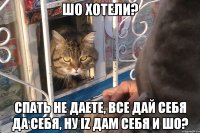 шо хотели? спать не даете, все дай себя да себя, ну iz дам себя и шо?