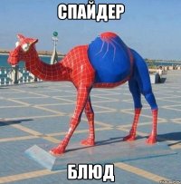 спайдер блюд