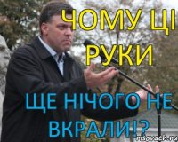 Чому ці руки ще нічого не вкрали!?