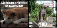 буду ждать пропустят на пешеходном мде( 