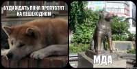 буду ждать пока пропустят на пешеходном мда 