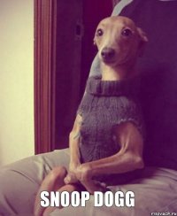 snoop dogg