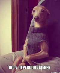 100% ПЕРЕВОПЛОЩЕНИЕ