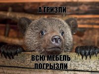 а гризли всю мебель погрызли