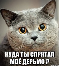  куда ты спрятал моё дерьмо ?