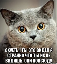  охуеть ! ты это видел ? странно что ты их не видишь. они повсюду