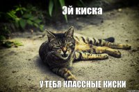 Эй киска у тебя классные киски