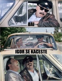 bai igor se kaceste 