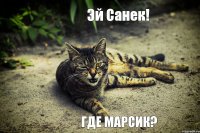 Эй Санек! Где Марсик?