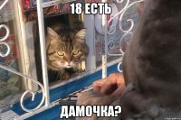 18 есть дамочка?