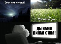 Дынамо дикая х*йня!