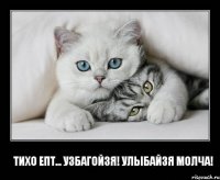 Тихо епт... узбагойзя! улыбайзя молча!