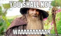 YOU SHALL NOT WAAAAAAAAAAR