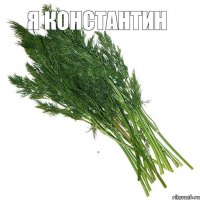 я константин укроп