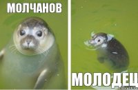 Молчанов молодец