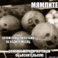 мямлите зачем пришли почему не ходила месяц сожгите методичку пиши объяснительную 