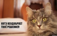 Котэ неодобряет твоё решение!!