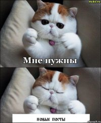 новые посты