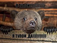 я тупой))))))))))) я тупой ,Да))))))))))