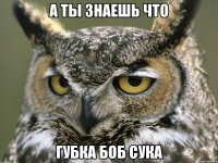 А ты знаешь что губка боб сука