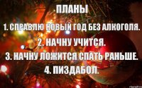 Планы 1. Справлю новый год без алкоголя. 2. Начну учится. 3. Начну ложится спать раньше. 4. Пиздабол.