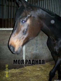 МОЯ РАДНАЯ