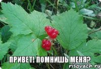 Привет! Помнишь меня?