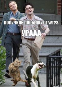 Получили посылку от WT?S Урааа