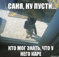 Саня, ну пусти... кто мог знать, что у него каре