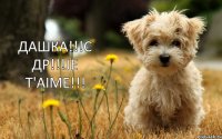 ДАШКА!!!С ДР!!!Je t'aime!!!