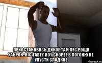  Приостановись дикое там лес рощи хаброн. Big tasty boy скорее в погоню не упусти сладкое