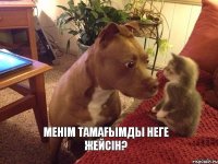 Менiм тамаfымды неге жейсiн?