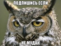 Подпишись если не МУДАК
