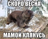 скоро весна мамой клянусь