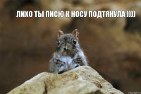 ЛИХО ТЫ ПИСЮ К НОСУ ПОДТЯНУЛА ))))