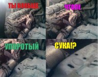 ТЫ ВООБЩЕ ЧТОЛЕ УПОРОТЫЙ СУКА!?