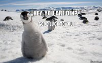 Hey, you are Din? Good luck to you)