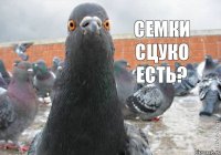 Семки сцуко есть?