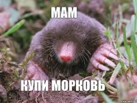 мам купи морковь