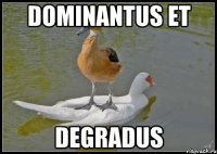 DOMINANTUS ET DEGRADUS