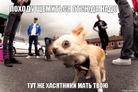 Походу щемиться отсюда надо тут же хасятники мать твою