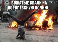 вожатые спали на королевскую ночью. . 