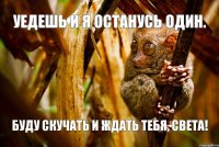 Уедешь и я останусь один. Буду скучать и ждать тебя, Света!