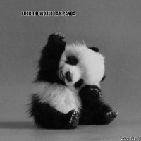 Fuck the world I am panda