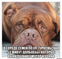  В ГОРОДЕ СЕМЕЙ ПО УЛ. ТУРКСИБСКАЯ 53 ЖИВУТ ДОЛБОЕБЫ, КОТОРЫЕ ВЫКИДЫВАЮТ МУСОР ИЗ ОКНА