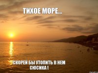 Тихое море... Скорей бы утопить в нем сюсика !