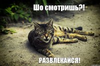 Шо смотришь?! Развлекайся!