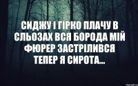 сиджу і гірко плачу в сльозах вся борода Мій Фюрер застрілився тепер я сирота...